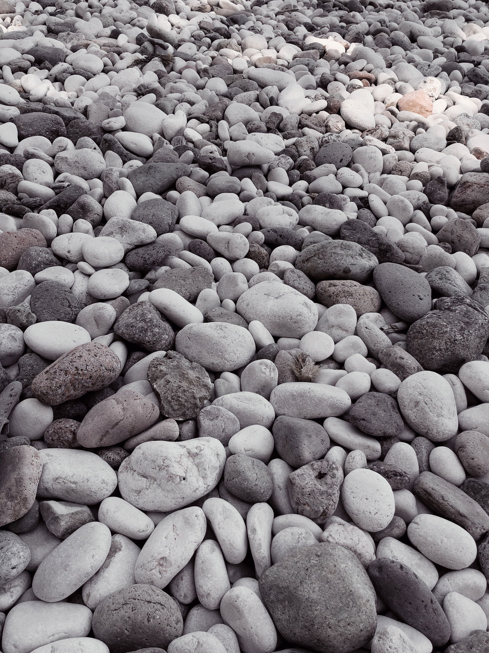 Annalisa Scano photo