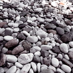 Annalisa Scano photo