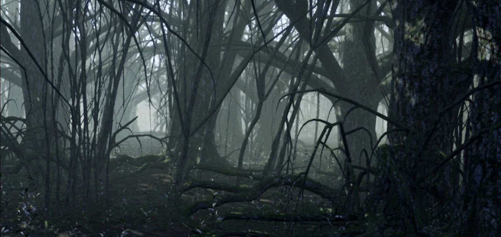 Emily Crawford photo