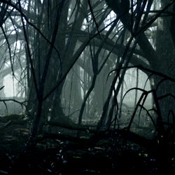 Emily Crawford photo