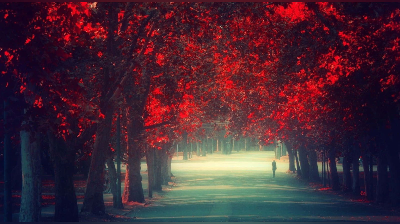 Cherryblossom92 photo