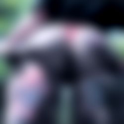 Poppy โ๏ธโ๏ธโ๏ธ photo