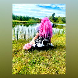 Cassis Cow🐮💕 photo