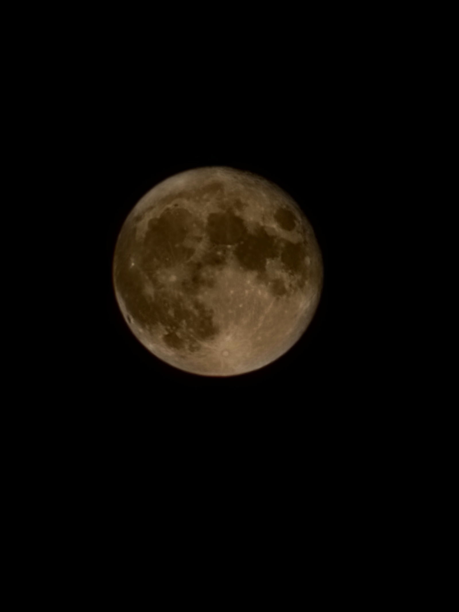 Nocturnal Poison photo