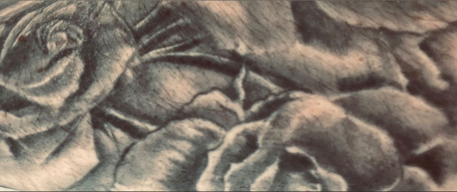 Backshotpawguy photo