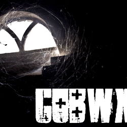 Cobwxbs photo