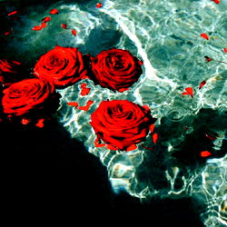 Siths-in-the-sheets photo