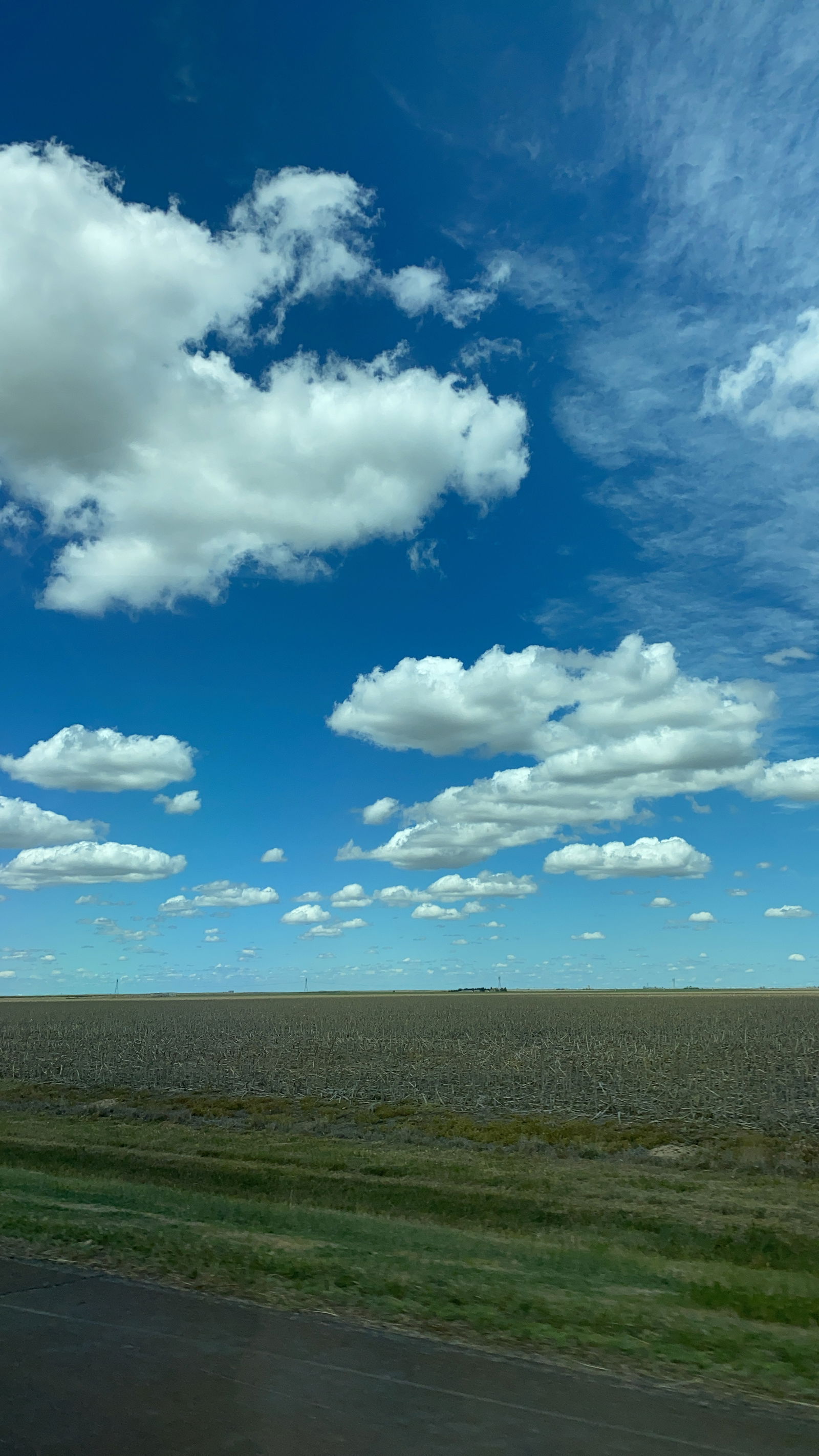 Michael Alexander photo