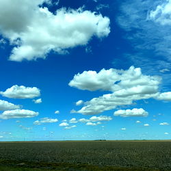 Michael Alexander photo