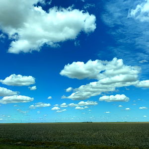 Michael Alexander photo