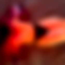 Lexy ๐ค๐ photo