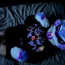 Lexy ๐ค๐ photo