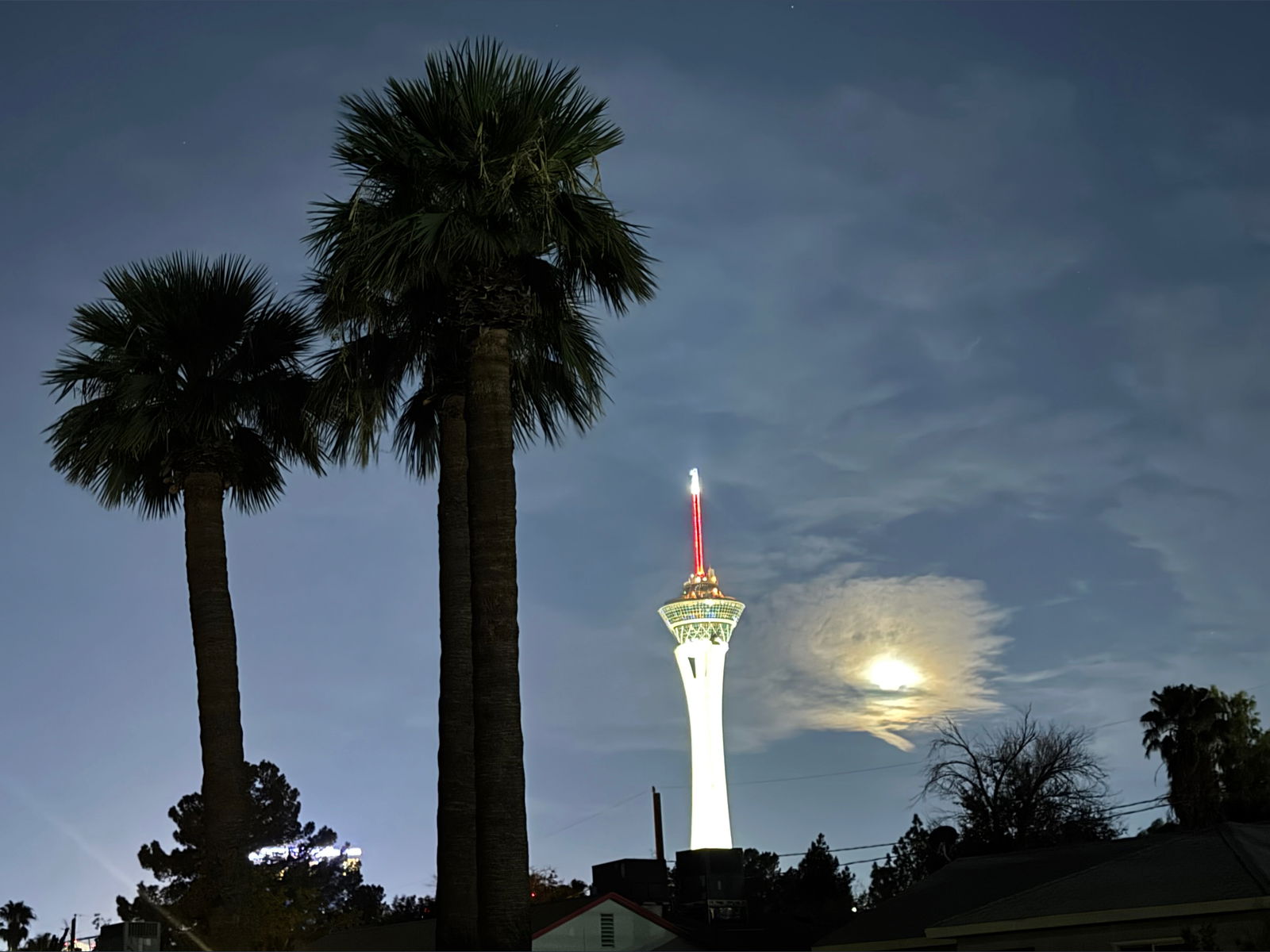 Jezabel Vessir photo