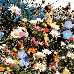 Goddess Courage photo