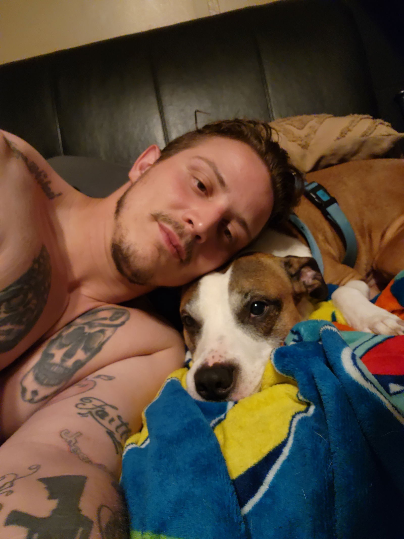 📺 Tre On Display📺 photo