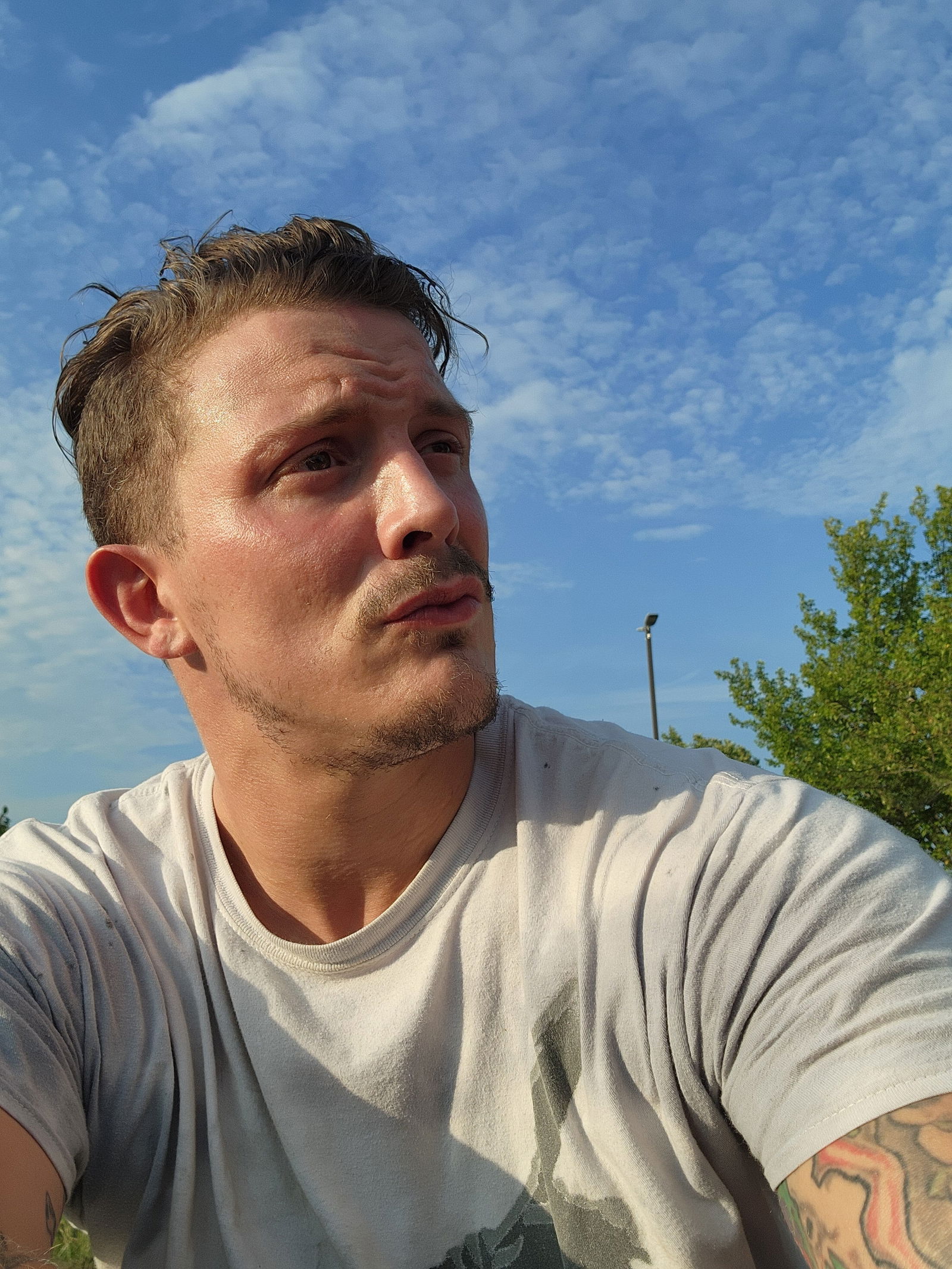 📺 Tre On Display📺 photo