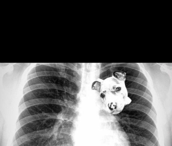 Braxton Drilla🔩🐼 photo