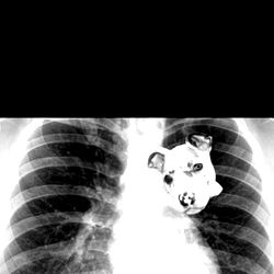 Braxton Drilla๐ฉ๐ผ photo