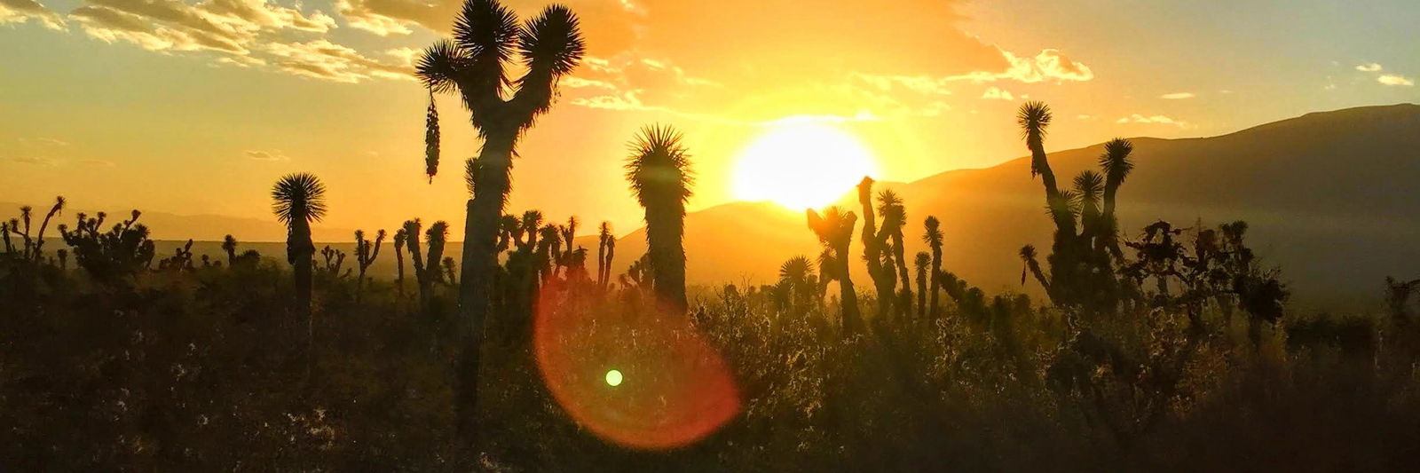 @villanopotosino13 photo