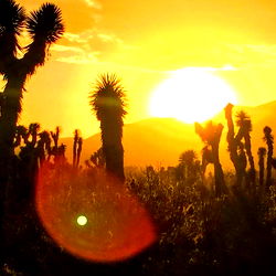 @villanopotosino13 photo