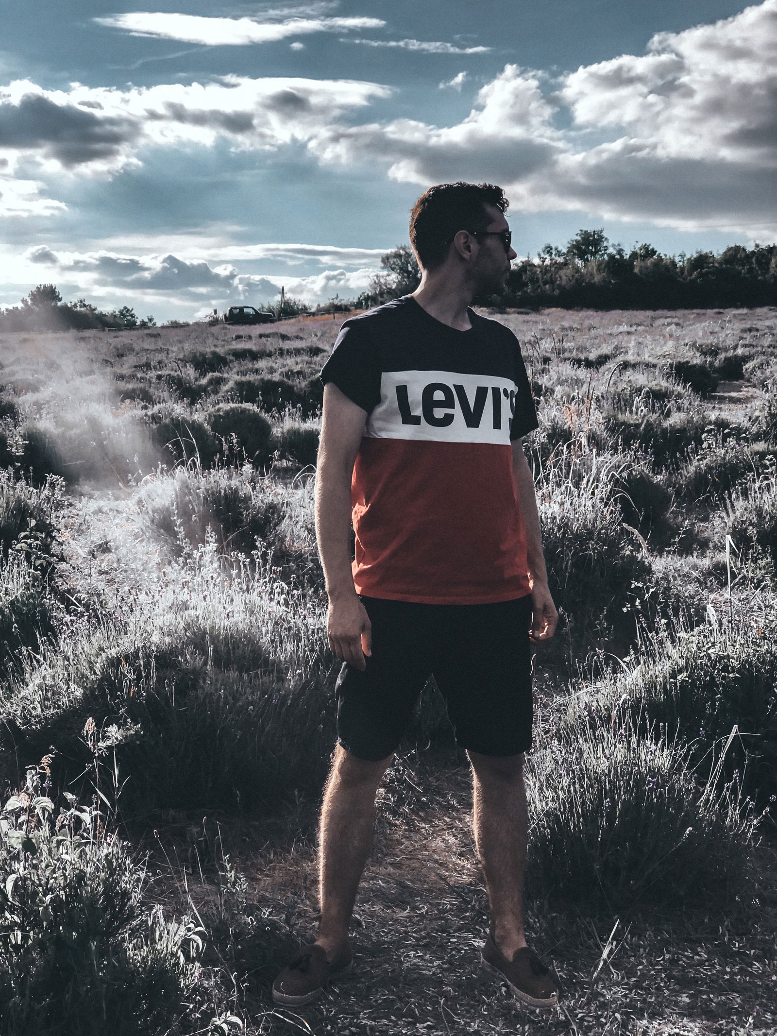 Something Strange photo