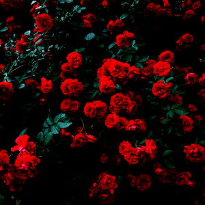 ๐๐๐๐๐ ๐๐๐๐๐๐๐๐ photo