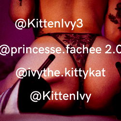 KittenIvy Free photo