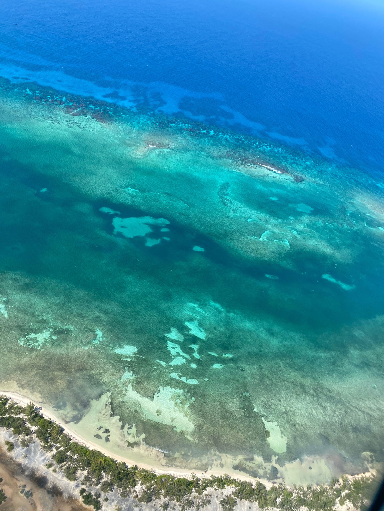 Arch Angel😇 photo