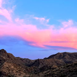 🍄🧚🐍🕺🏻🍃 photo