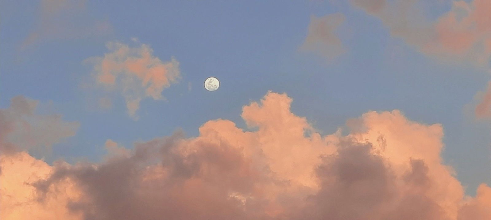 Jasmine | Natural 💖 photo