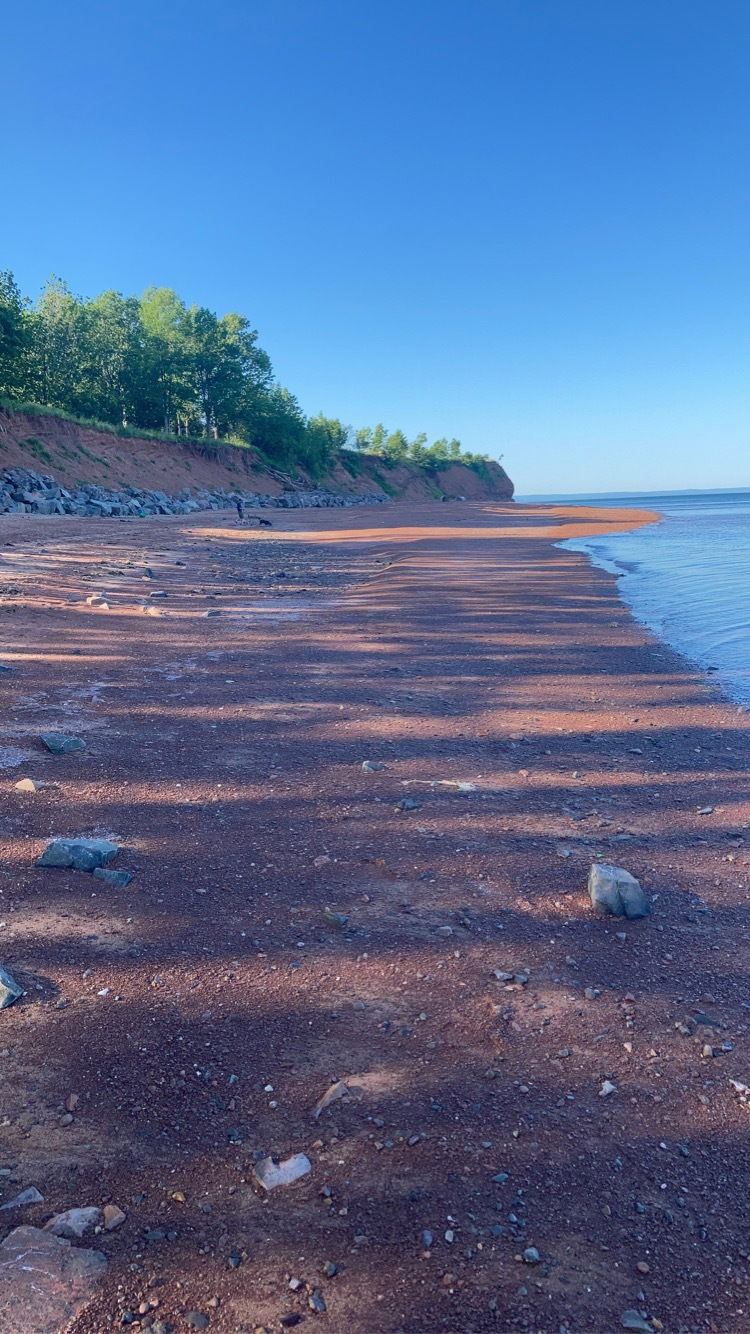 Tali 🇨🇦😍😏😝 photo