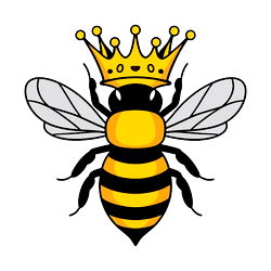 Online with Anna photo