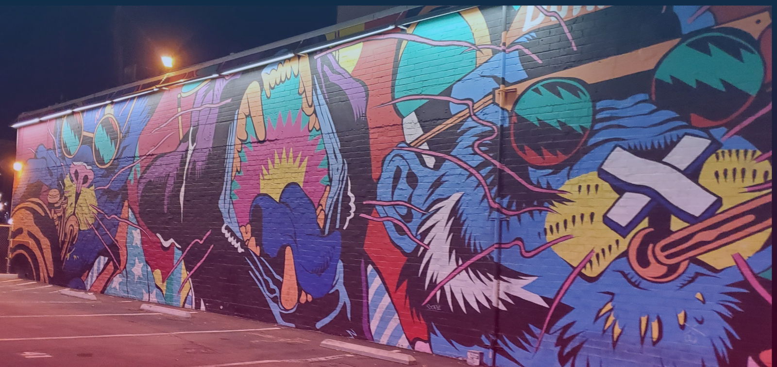 Ambitious Dreamer photo