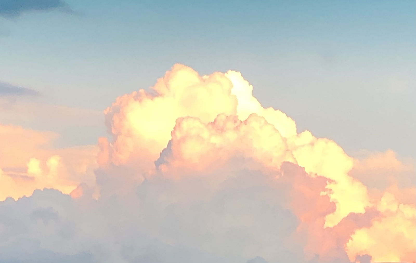 Alexander Valentino photo