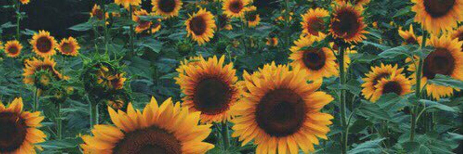 Goddess Rayne ♡ photo