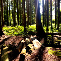 conor davis ๐๐ photo