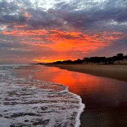 Luke & Alexis โฅ๏ธ photo