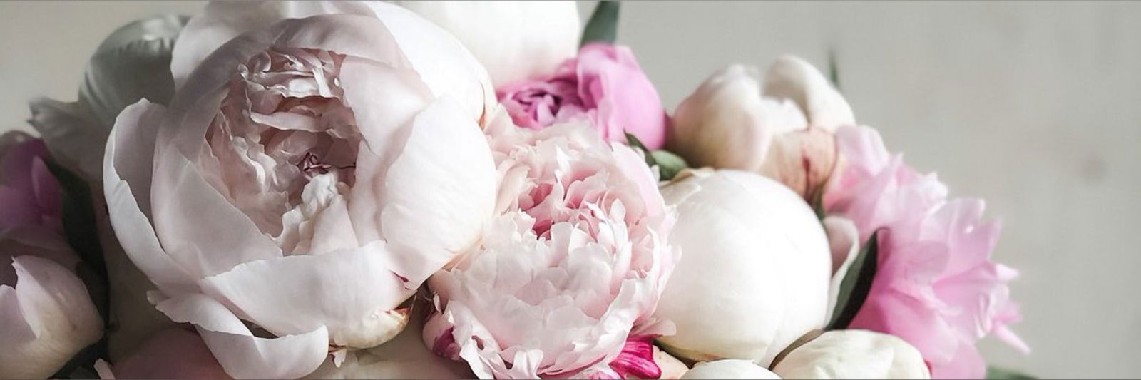 Chelsea Quinn 🍑💦💅 photo