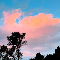 All_angelic_amieee photo