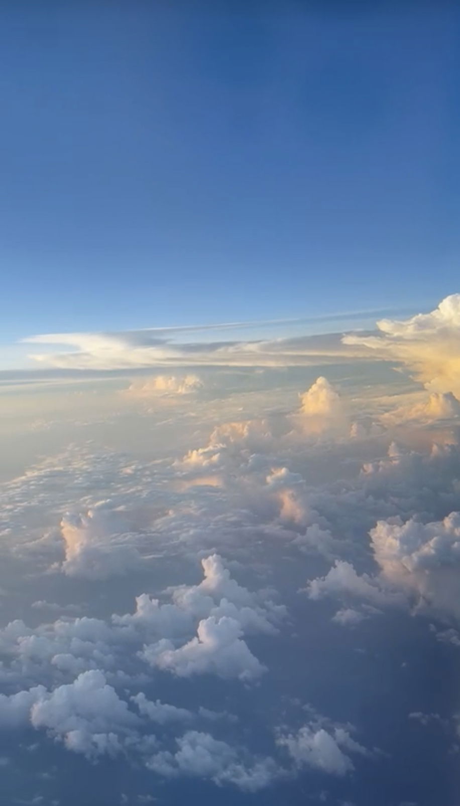 Alexandra Gomez photo