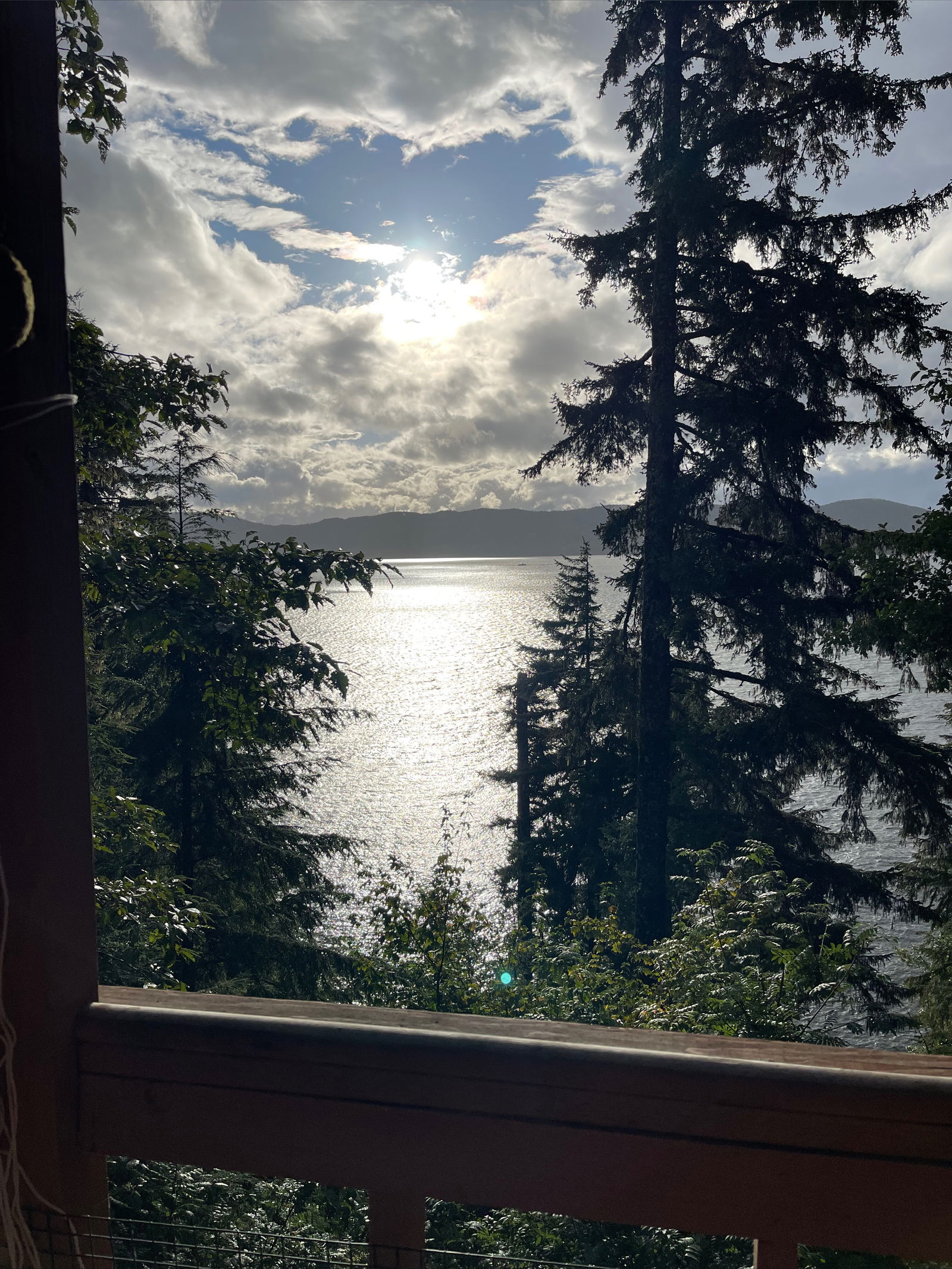 Stephen Michael photo