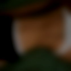 Himari ๐ฏ๐ต๐บ๐ธ photo