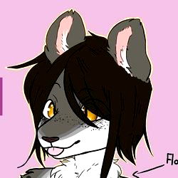 ApolloAfterDark photo