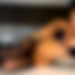 Princess Jazmin ๐ photo