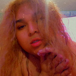 Salvi from Baltimore