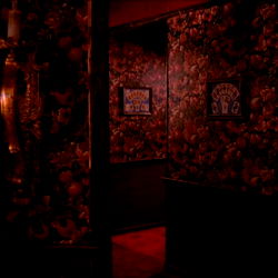 𝐇𝐄𝐀𝐓𝐇𝐄𝐑. photo