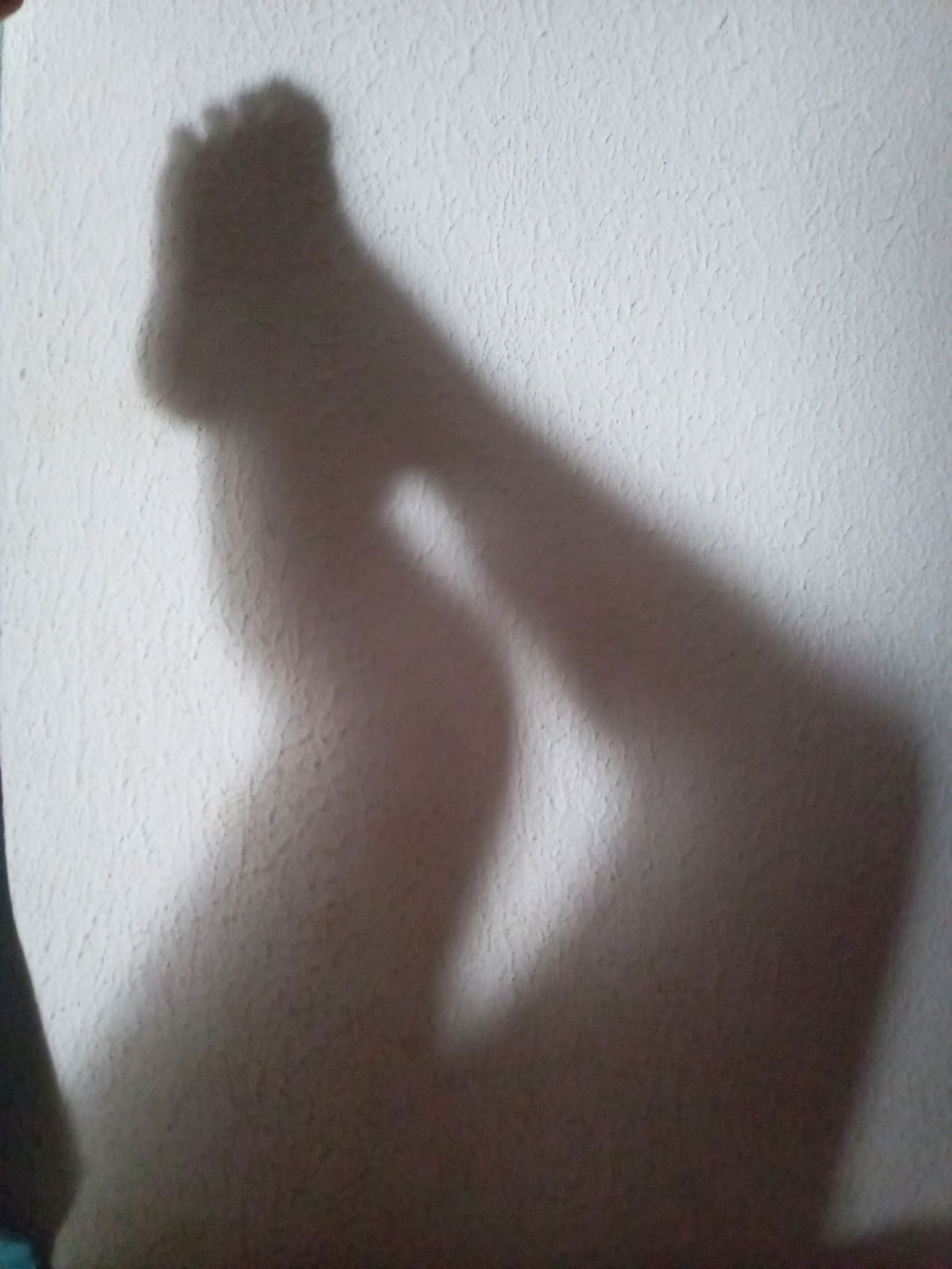 Anastasia Gongora photo