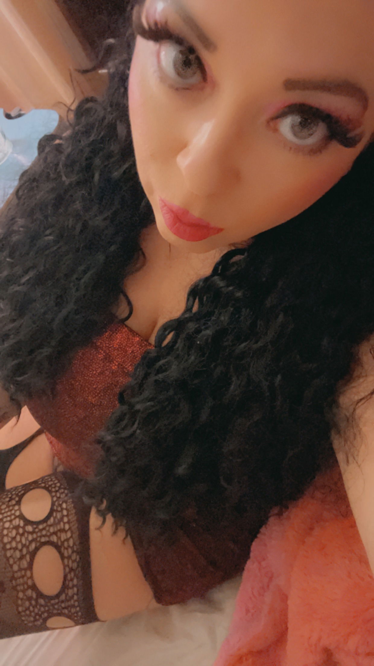 Starrie Nights photo