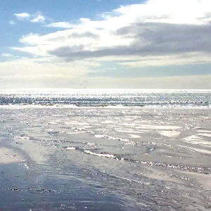 Shannon Beasley photo