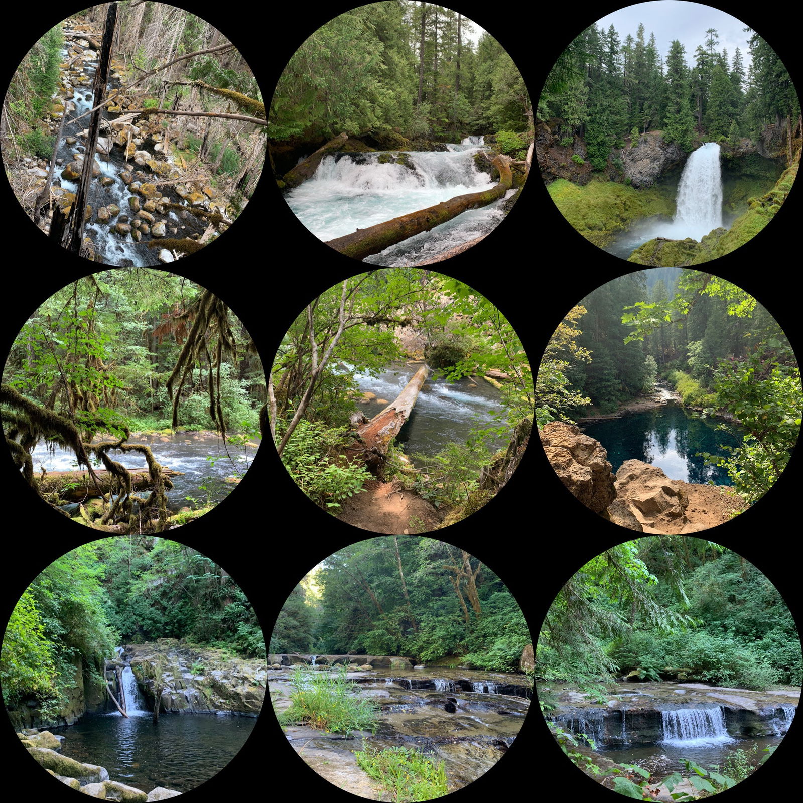 Serenity Smith photo